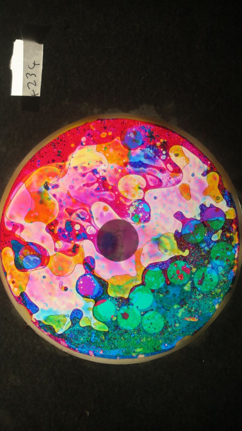 BV4234 bubble vision oil wheel